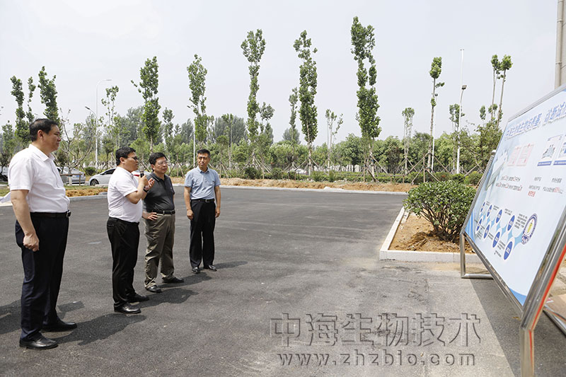 枣庄市委书记陈平调研中国兽药谷及HJC黄金城生物等重点项目建设情况图片